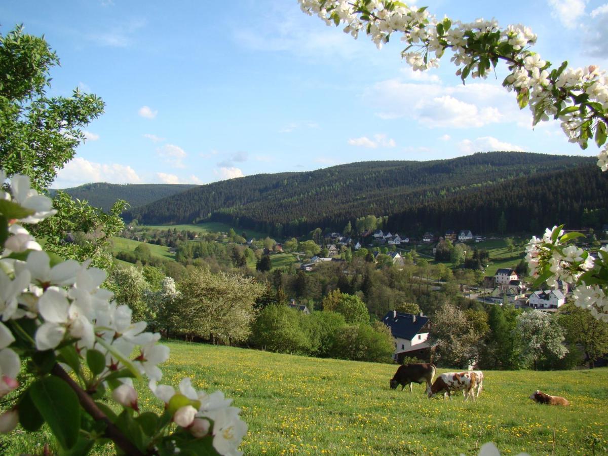 Ferienwohnung Lang Breitenbrunn  Exteriör bild